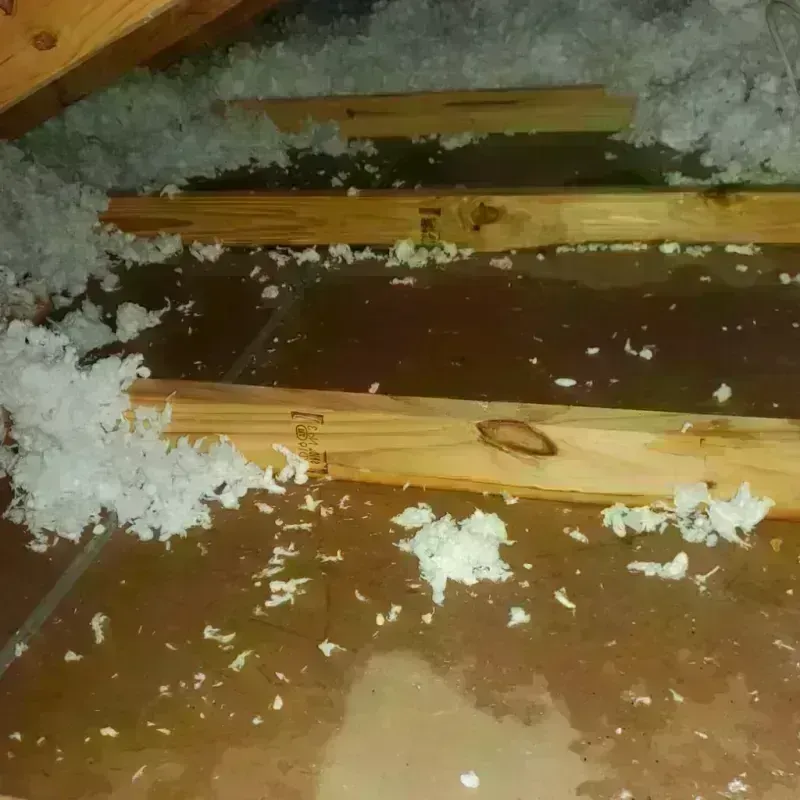 Attic Water Damage in Lanai City, HI